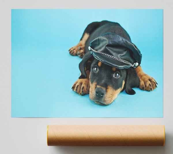 Rottweiler Puppy Dog Hat Print
