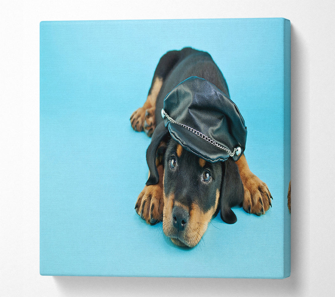  A Canvas Print of Rottweiler Puppy Dog Hat Canvas Wall Art