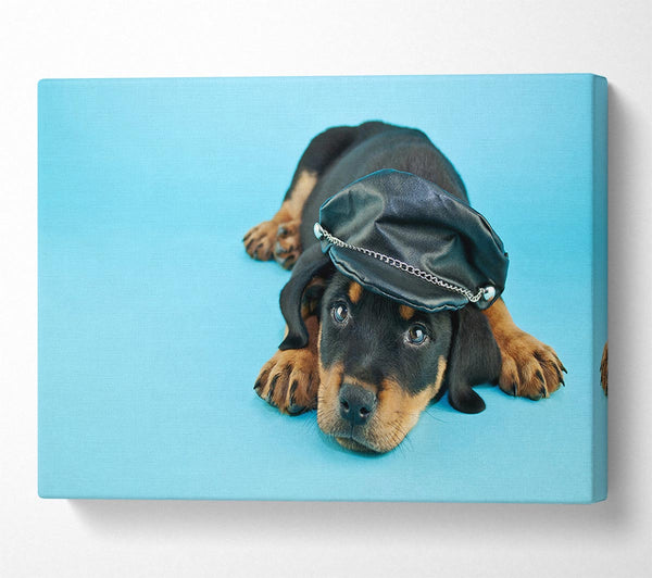  A Canvas Print of Rottweiler Puppy Dog Hat Canvas Wall Art