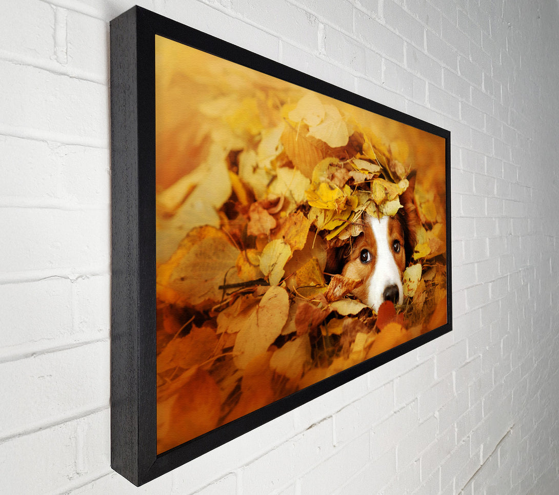  A Canvas Print of Dog In Autumn Leaves Canvas Print