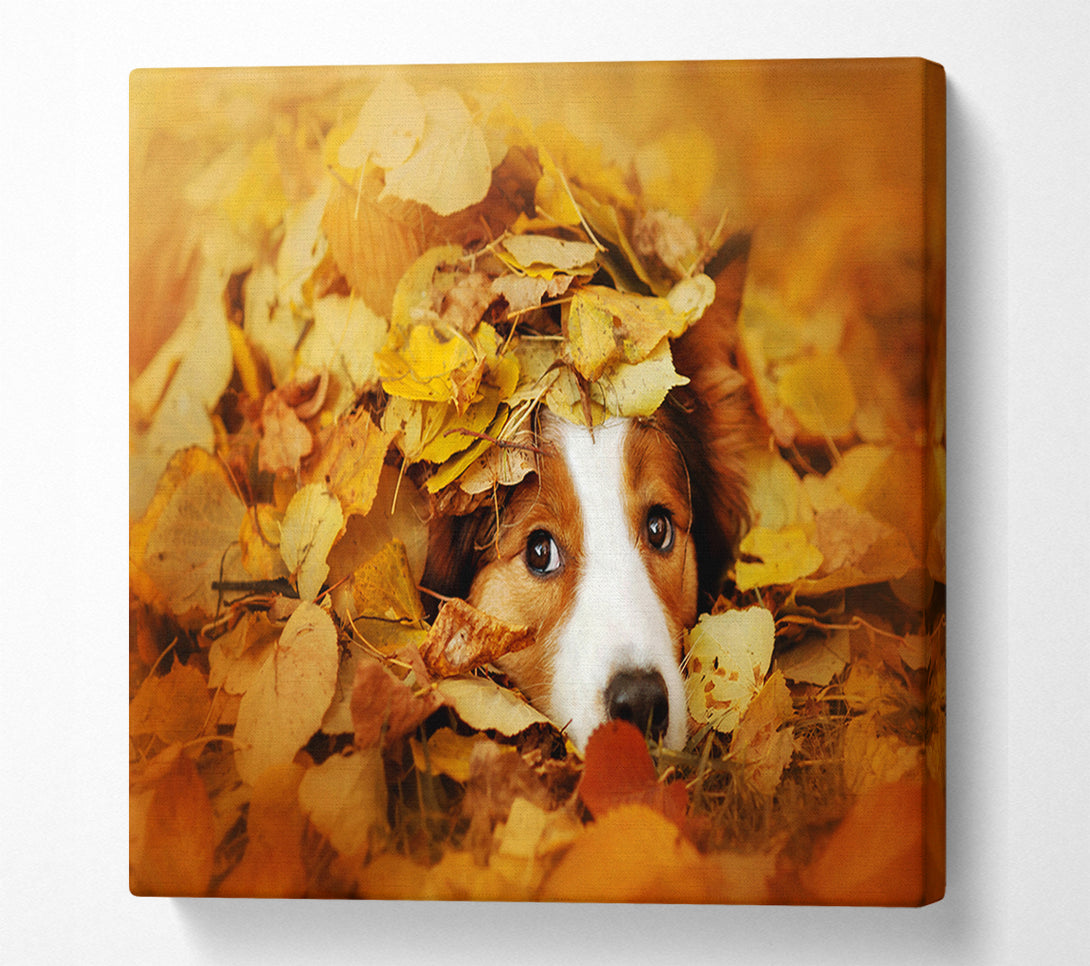  A Canvas Print of Dog In Autumn Leaves Canvas Print