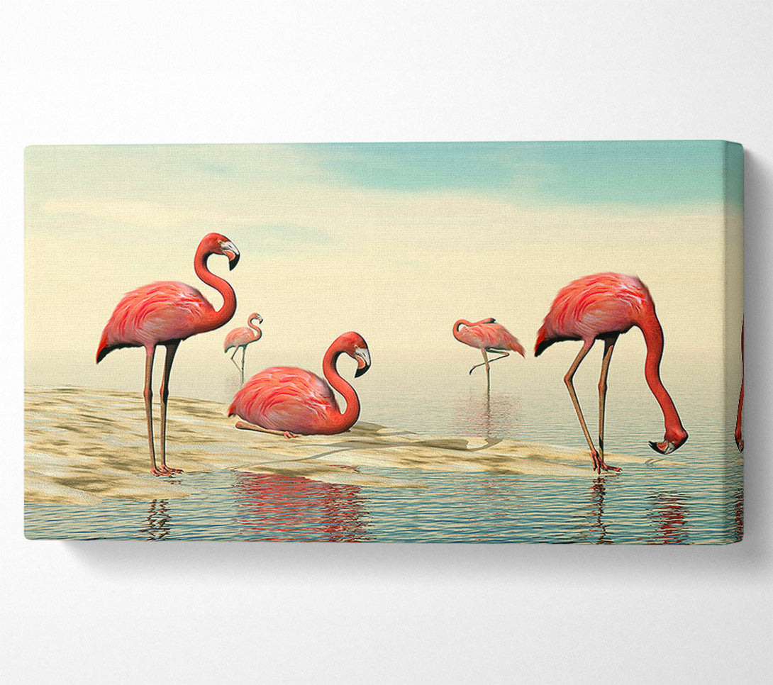  A Canvas Print of Pink Flamingo Batheing Canvas Art