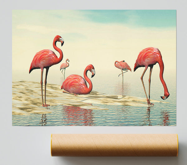 Pink Flamingo Batheing Poster