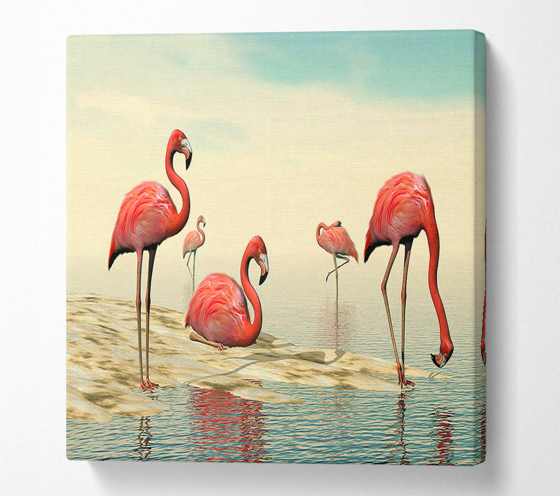  A Canvas Print of Pink Flamingo Batheing Canvas Art