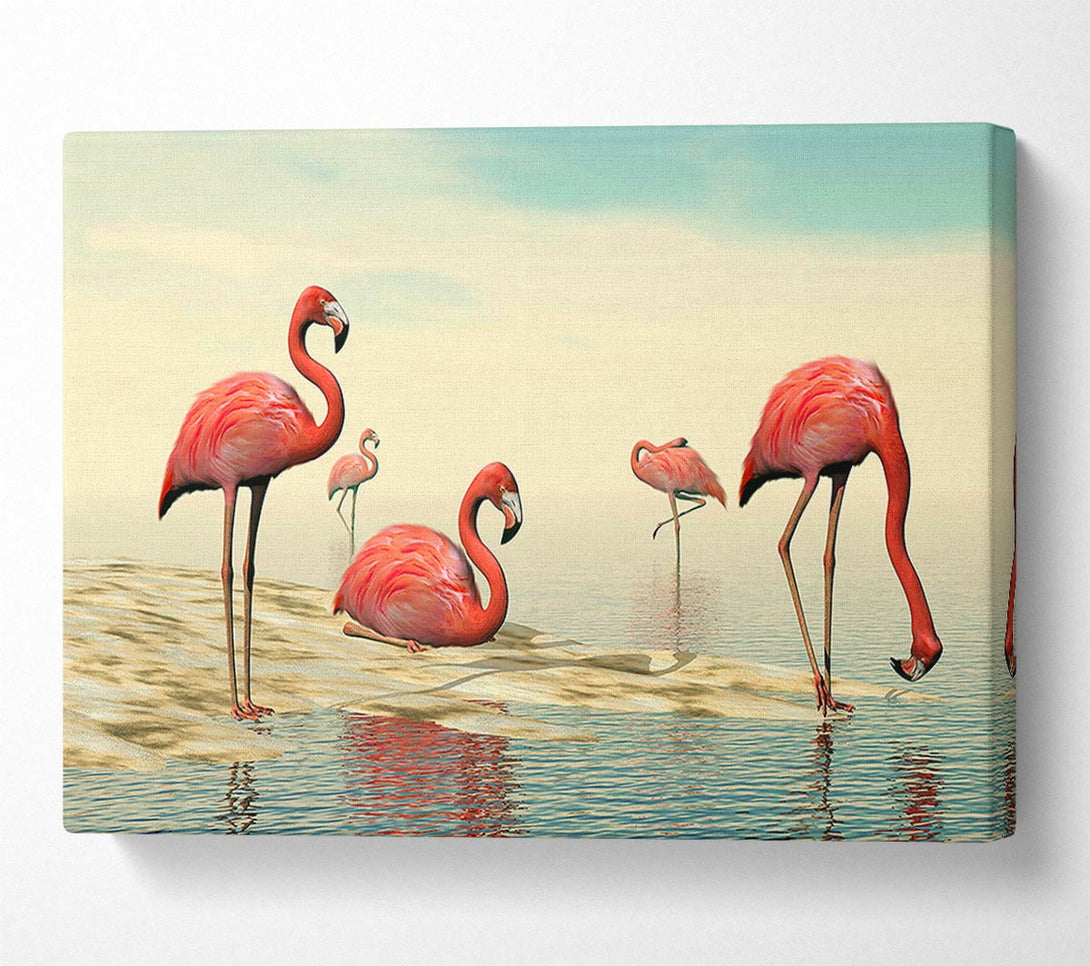  A Canvas Print of Pink Flamingo Batheing Canvas Art