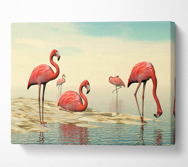  A Canvas Print of Pink Flamingo Batheing Canvas Art