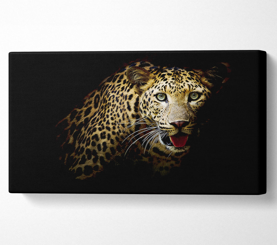  A Canvas Print of Curious Leopard Canvas Art