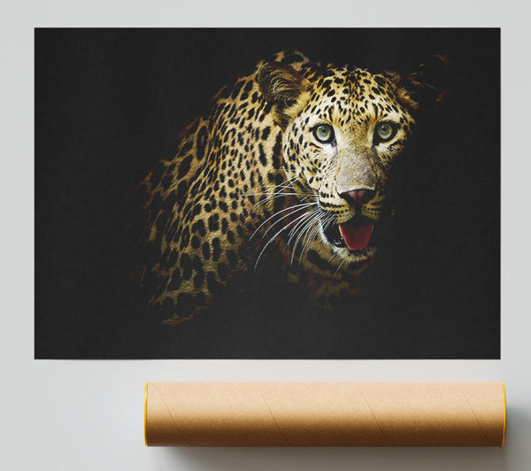 Curious Leopard Print