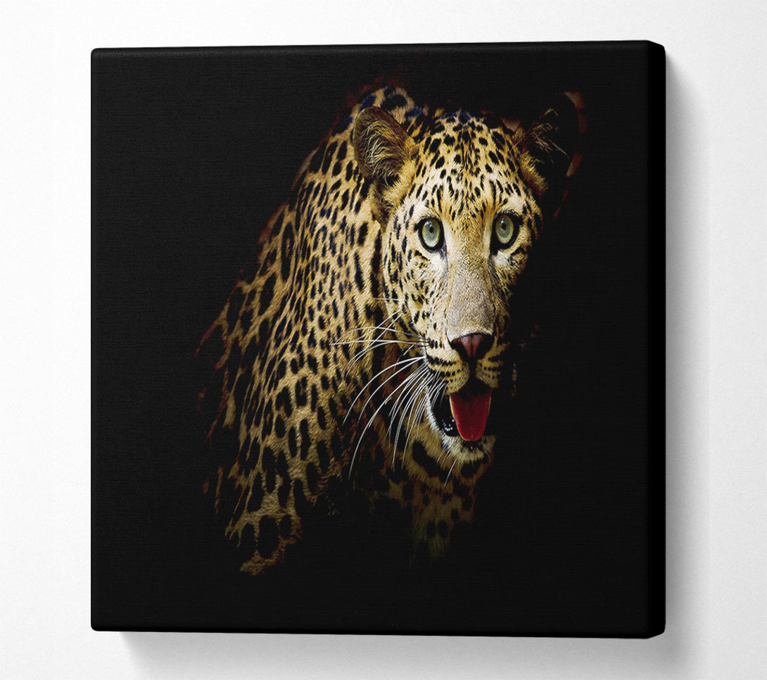  A Canvas Print of Curious Leopard Canvas Art