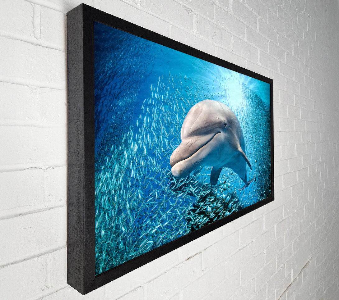  A Canvas Print of Dolphin Dinner Time Canvas Print
