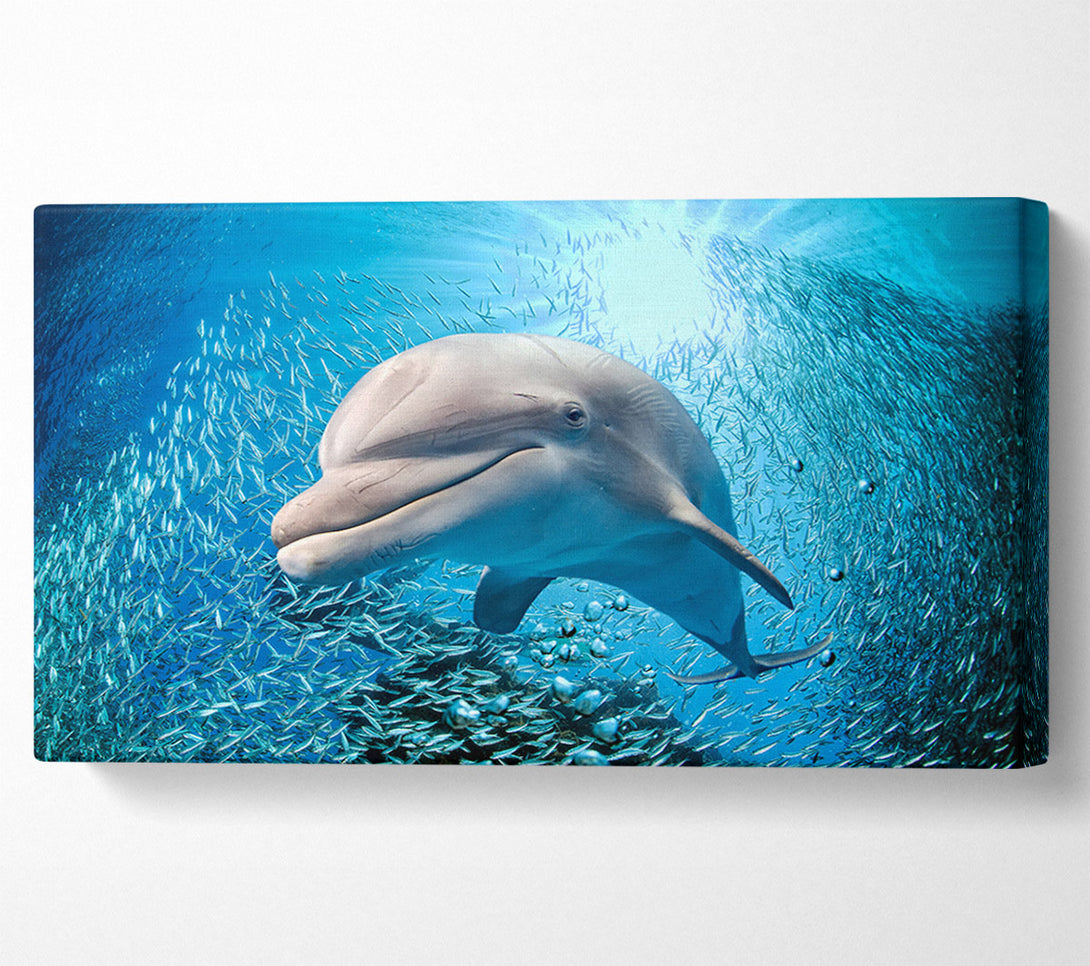  A Canvas Print of Dolphin Dinner Time Canvas Print