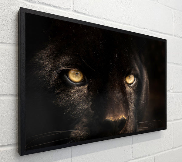 Black Panther Face