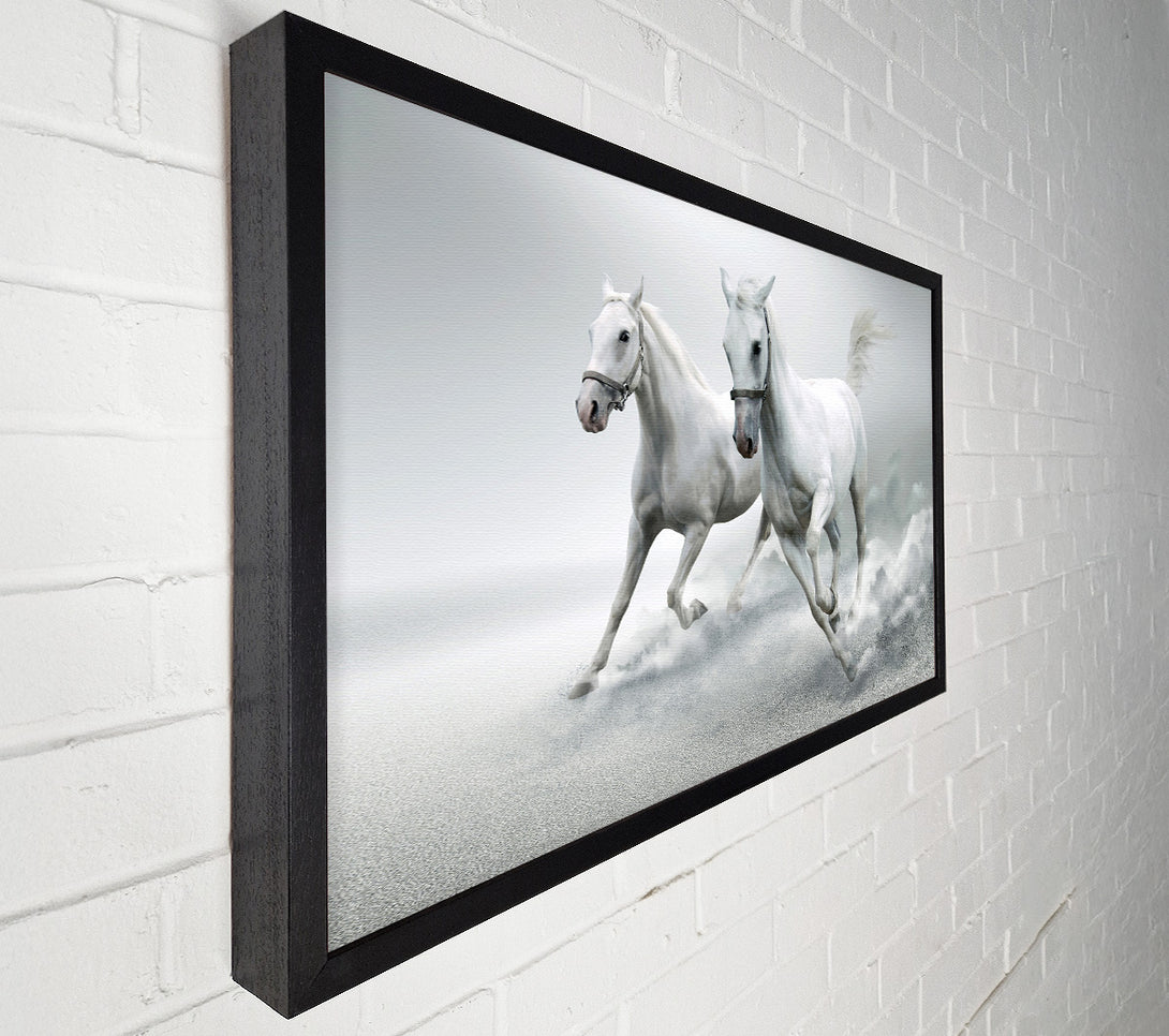 A Canvas Print of White Duo Horses Canvas Print