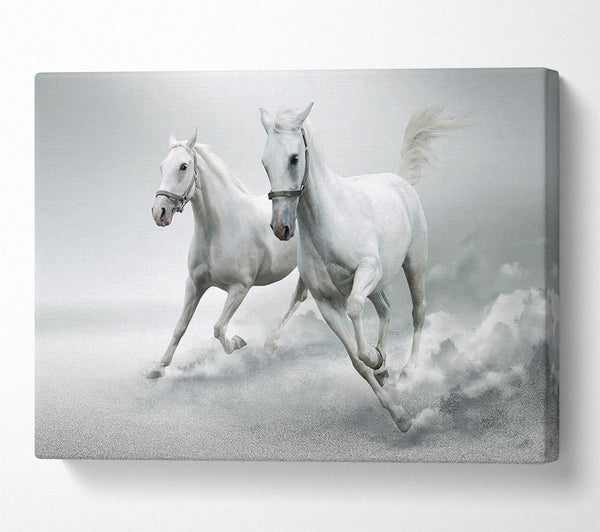  A Canvas Print of White Duo Horses Canvas Print