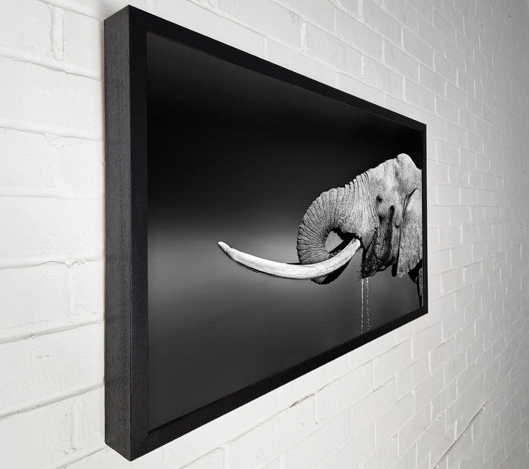  A Canvas Print of Elephant Drink Canvas Wall Art