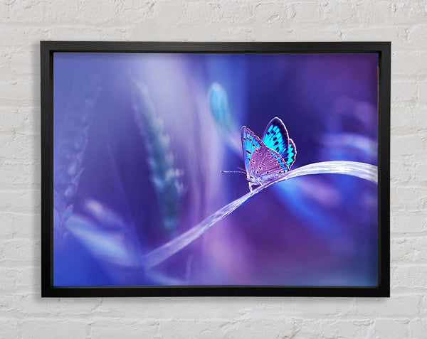 Purple Butterfly Wonder Framed Print