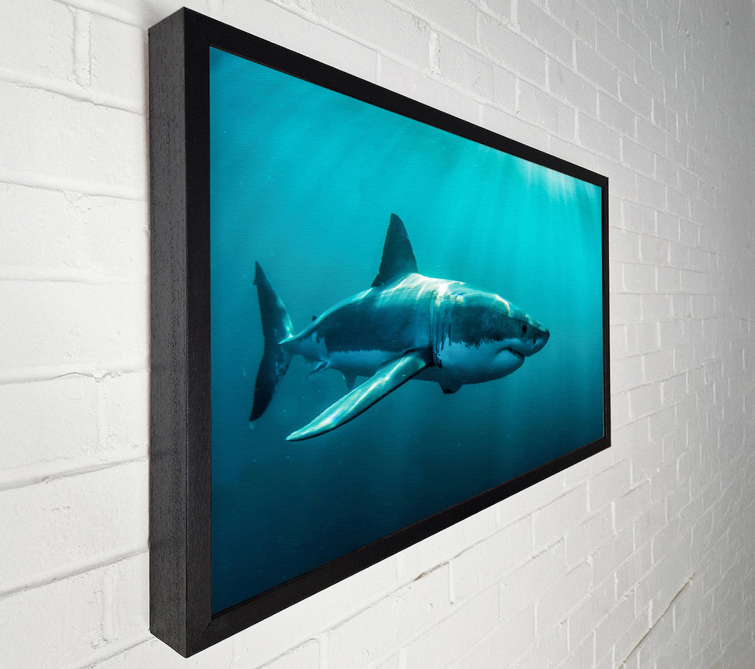  A Canvas Print of Shark Sunbeam Canvas Art