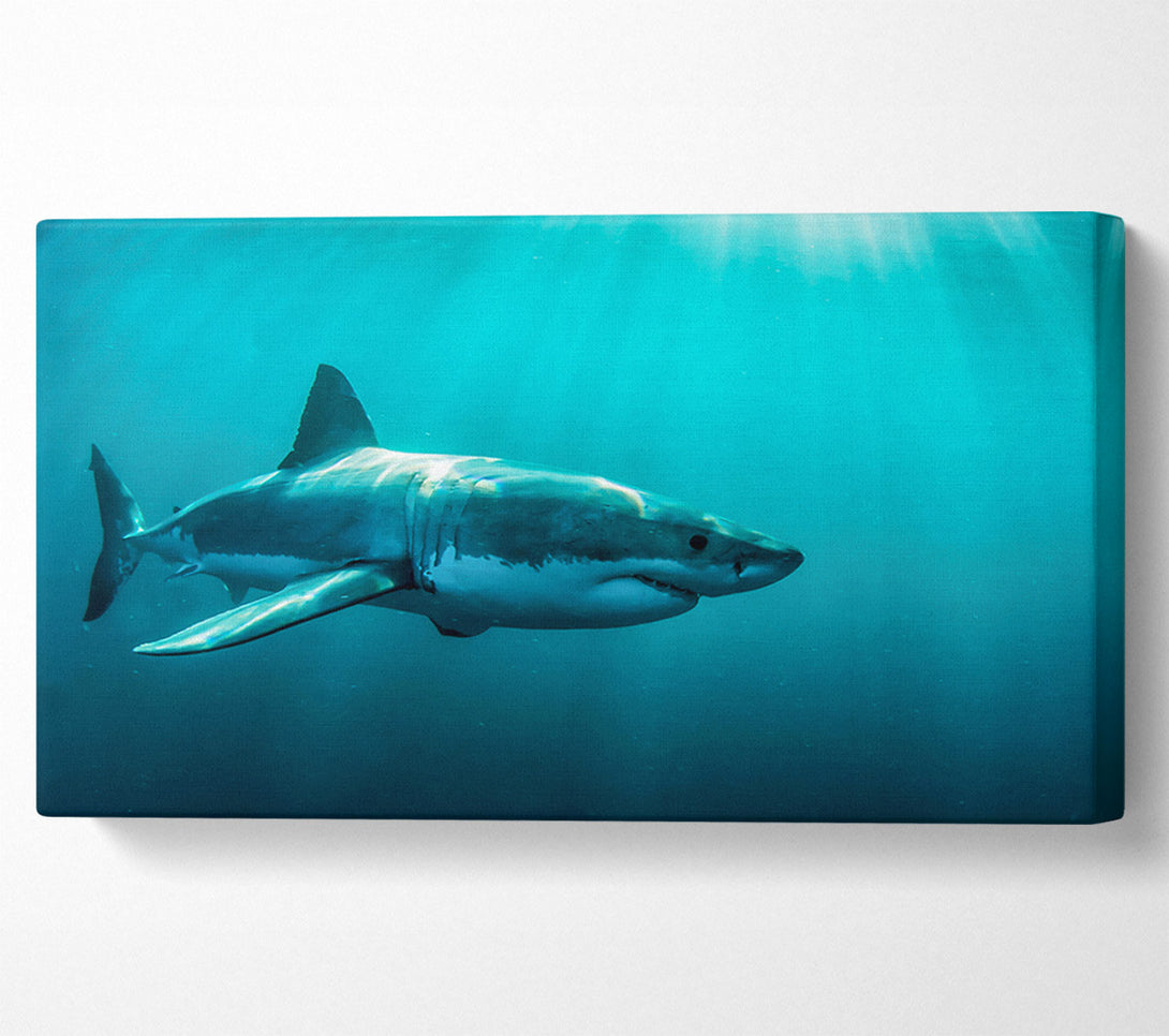  A Canvas Print of Shark Sunbeam Canvas Art
