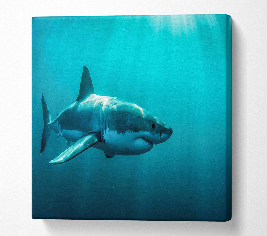  A Canvas Print of Shark Sunbeam Canvas Art