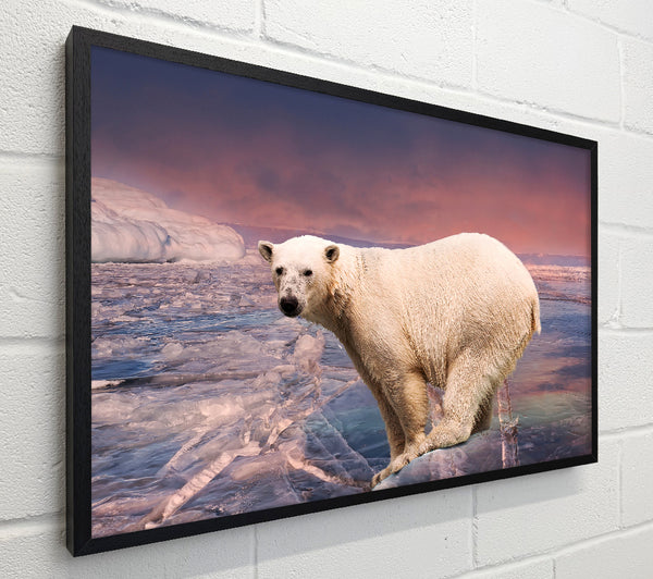 Polar Bear Skies
