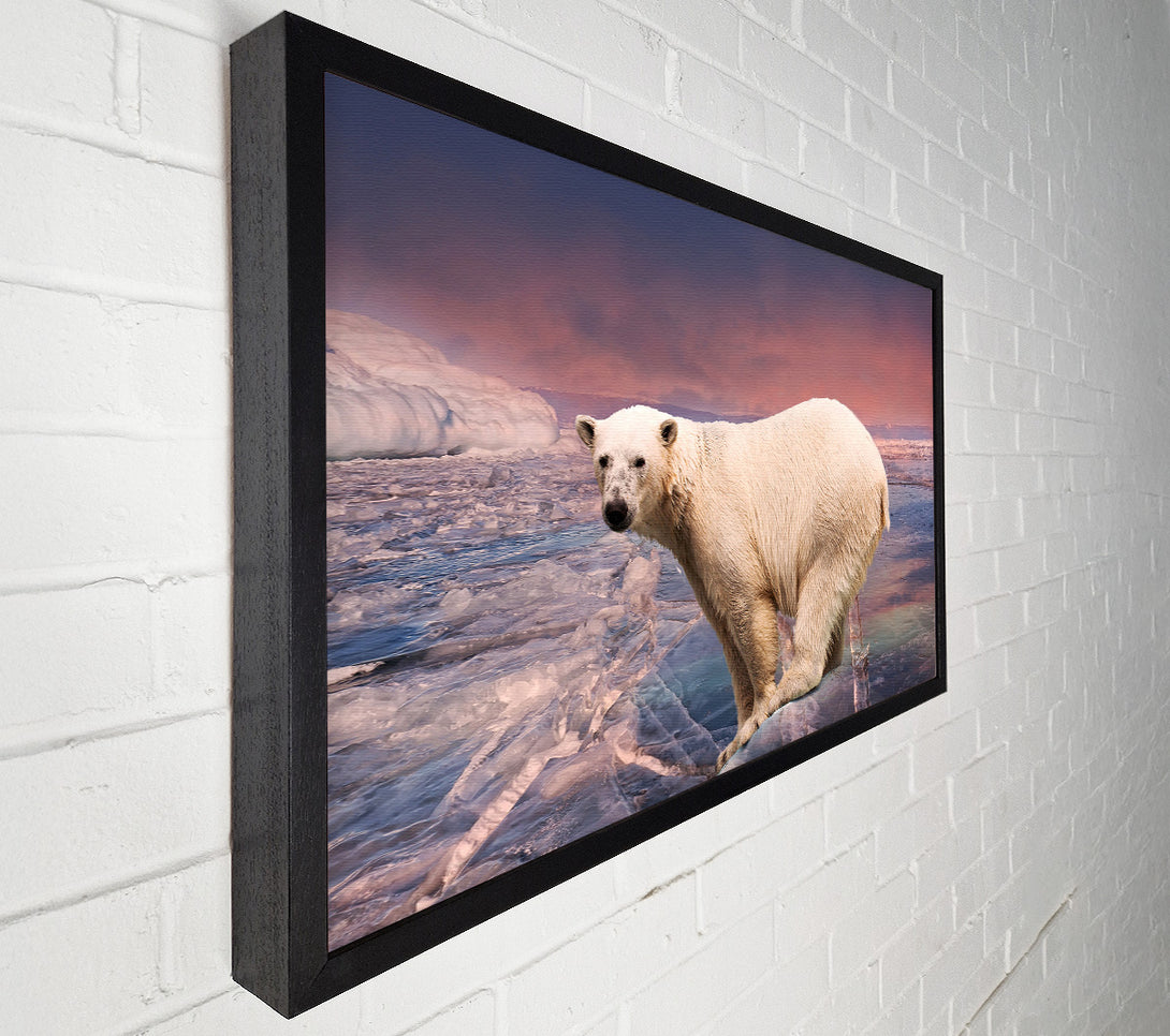  A Canvas Print of Polar Bear Skies Canvas Print