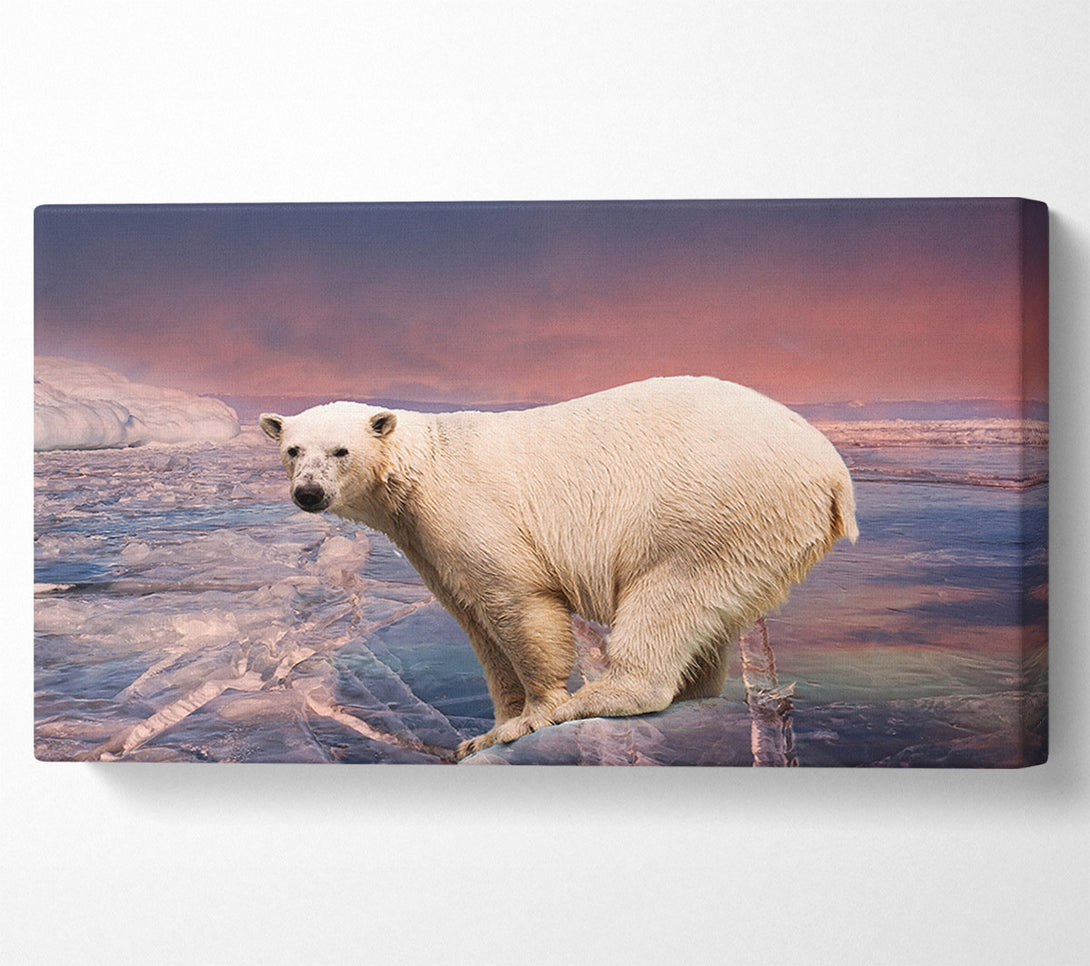  A Canvas Print of Polar Bear Skies Canvas Print