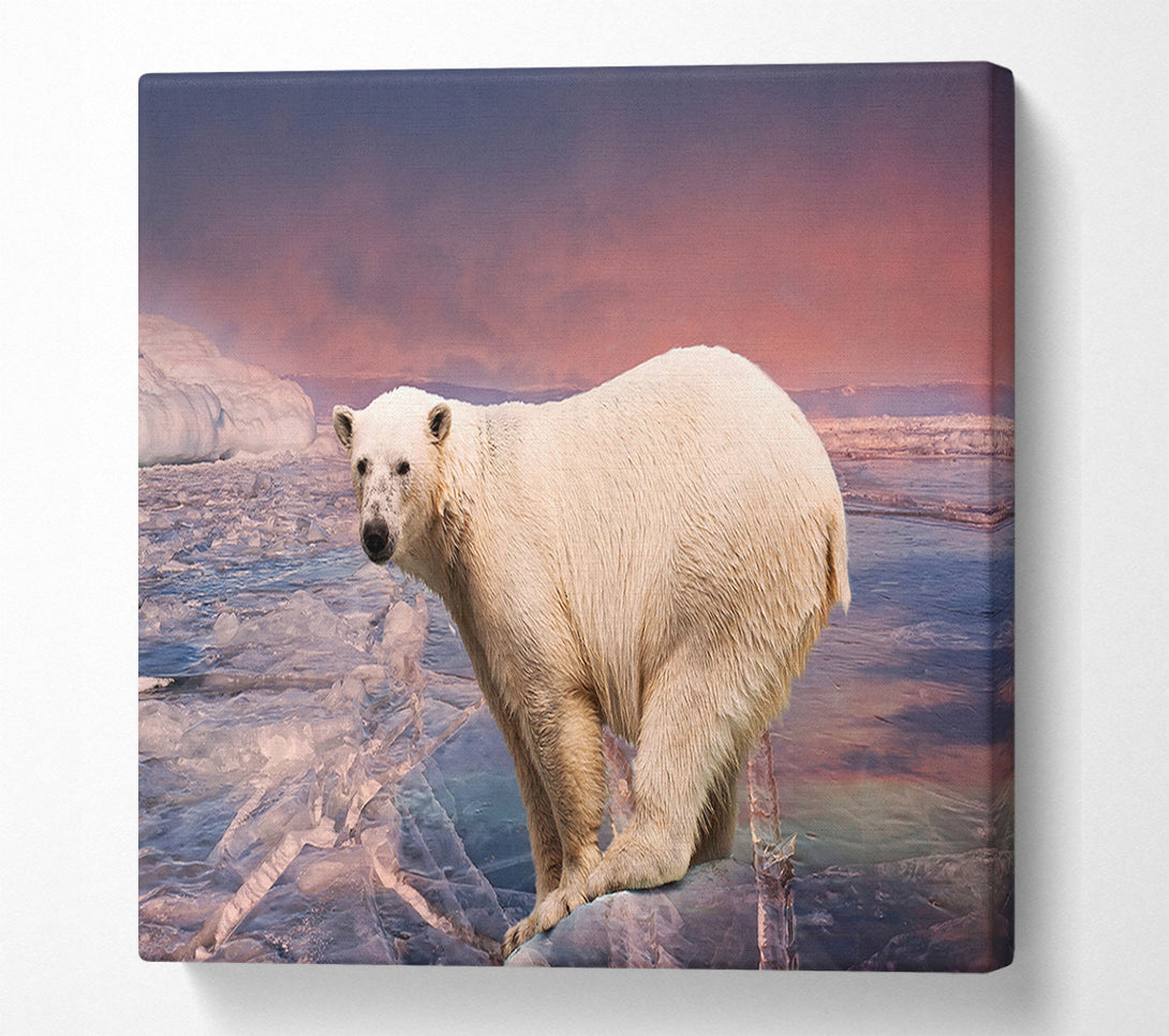  A Canvas Print of Polar Bear Skies Canvas Print