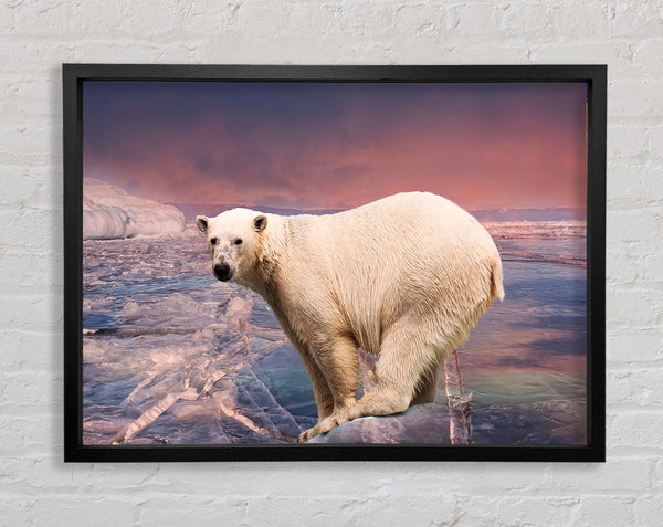 Polar Bear Skies Framed Print