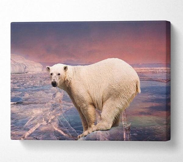  A Canvas Print of Polar Bear Skies Canvas Print