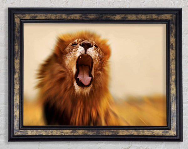 King of The Jungle Lion Roar Framed Print