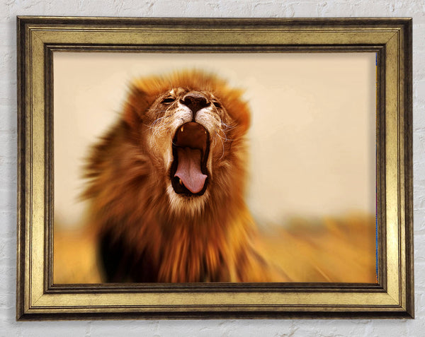 King of The Jungle Lion Roar Framed Print