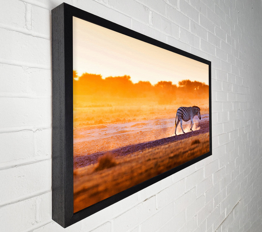  A Canvas Print of Zebra Roaming Canvas Wall Art