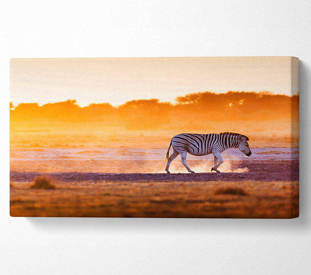  A Canvas Print of Zebra Roaming Canvas Wall Art