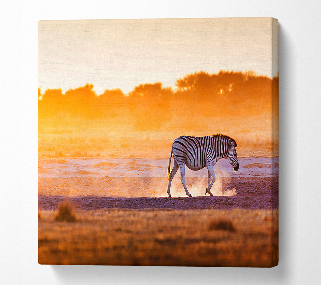  A Canvas Print of Zebra Roaming Canvas Wall Art