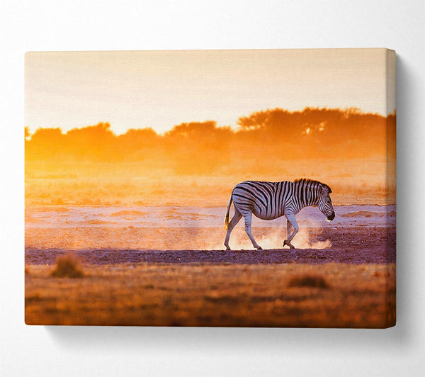  A Canvas Print of Zebra Roaming Canvas Wall Art