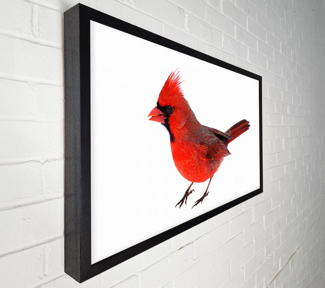  A Canvas Print of Scarlet Tanager Bird Canvas Wall Art