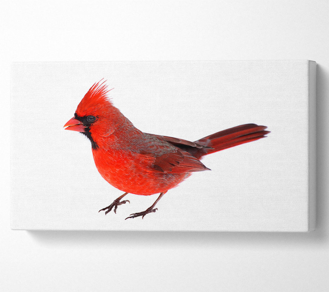  A Canvas Print of Scarlet Tanager Bird Canvas Wall Art