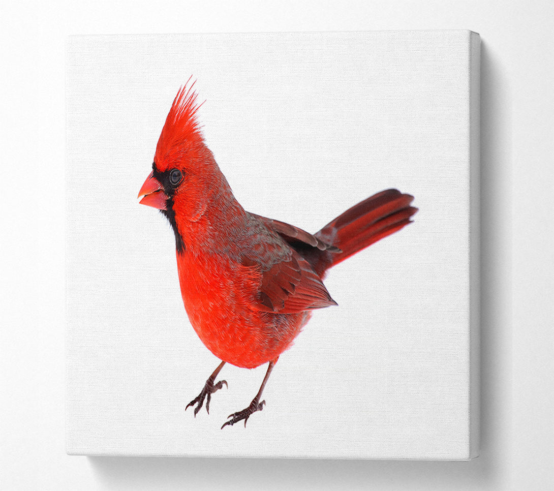  A Canvas Print of Scarlet Tanager Bird Canvas Wall Art