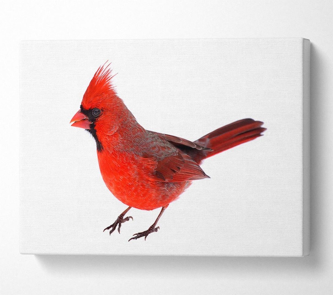  A Canvas Print of Scarlet Tanager Bird Canvas Wall Art