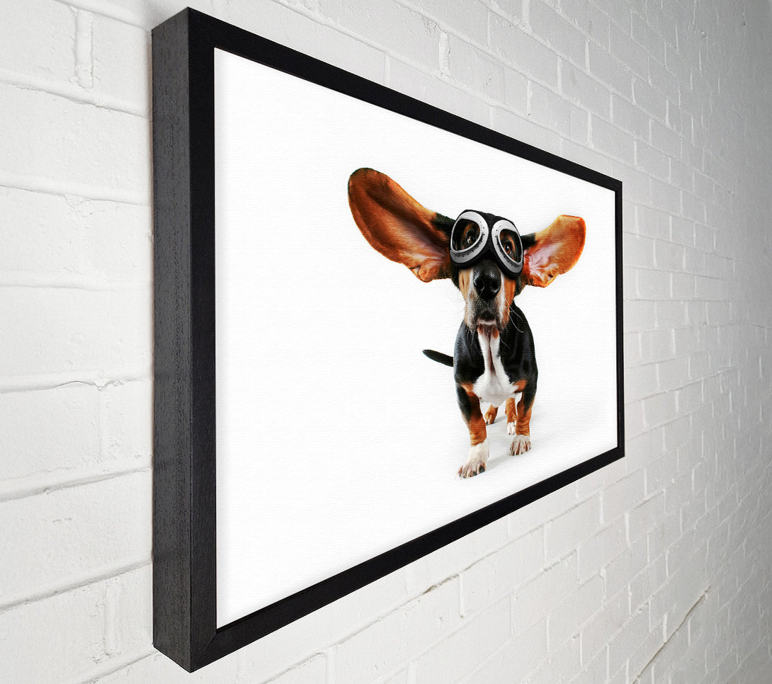  A Canvas Print of Basset Hound Flight Canvas Art