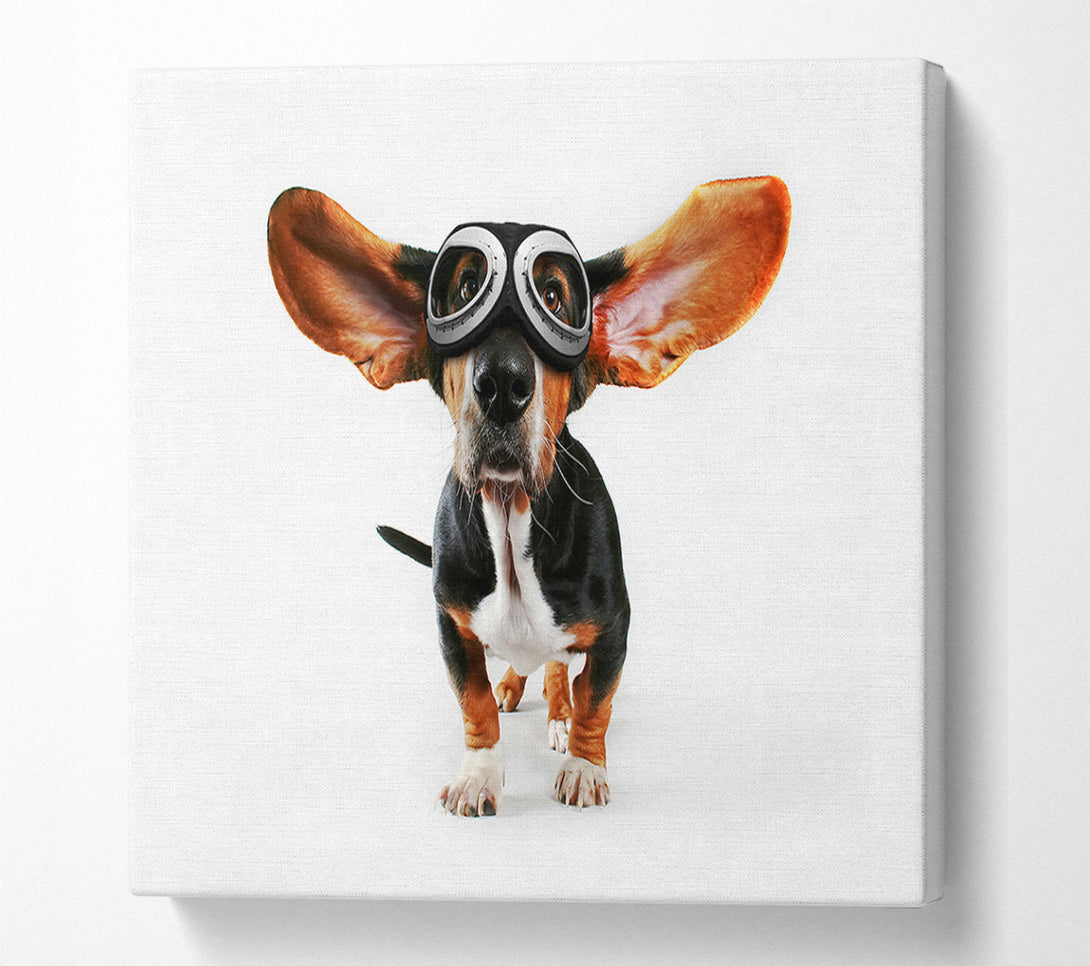  A Canvas Print of Basset Hound Flight Canvas Art
