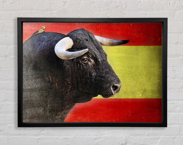 Spanish Bull Framed Print
