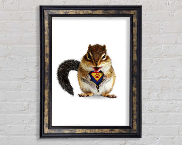 Super Squirrel Framed Print