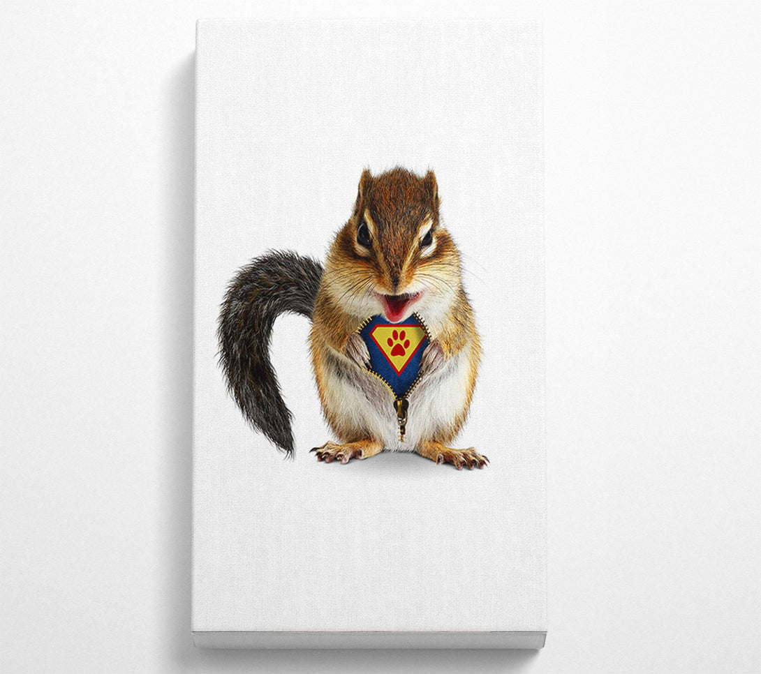  A Canvas Print of Super Squirrel Canvas Print