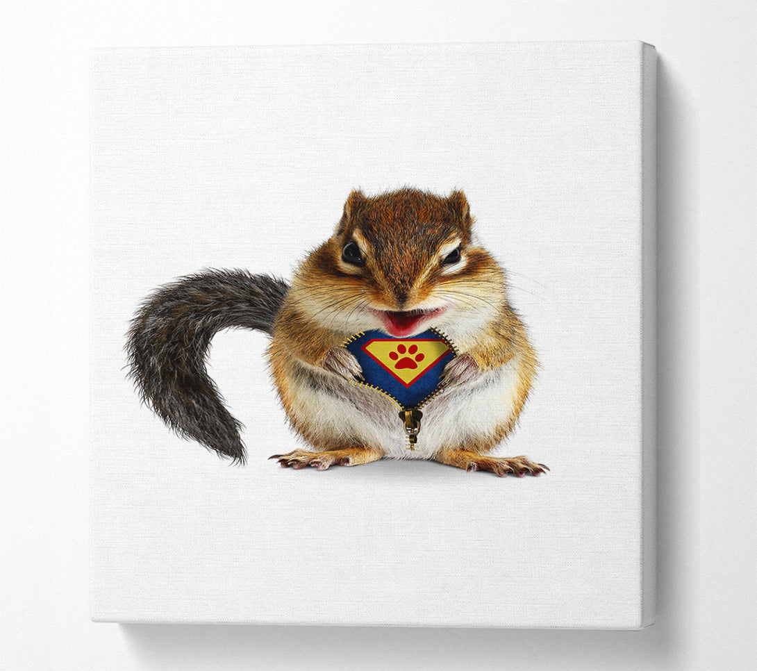 A Canvas Print of Super Squirrel Canvas Print