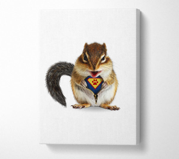  A Canvas Print of Super Squirrel Canvas Print