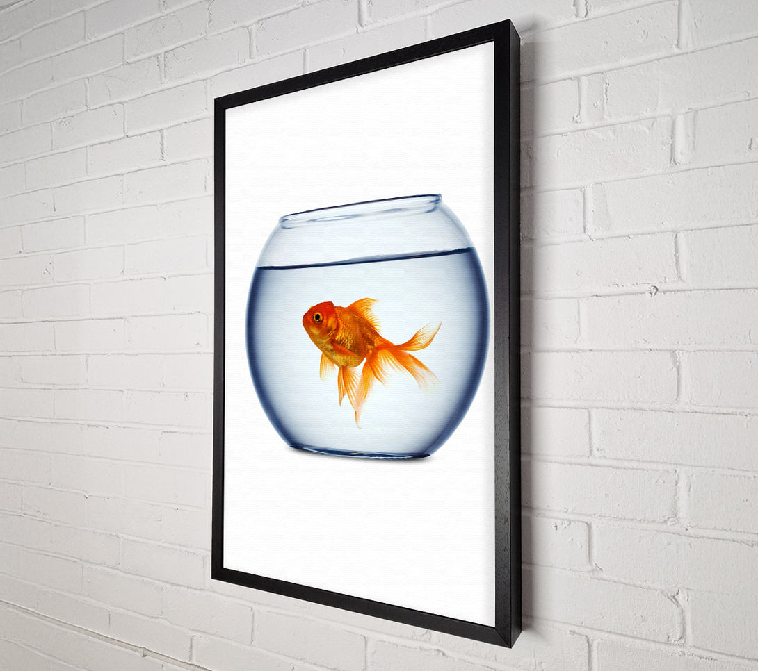  A Canvas Print of Goldfish Bowl Canvas Wall Art