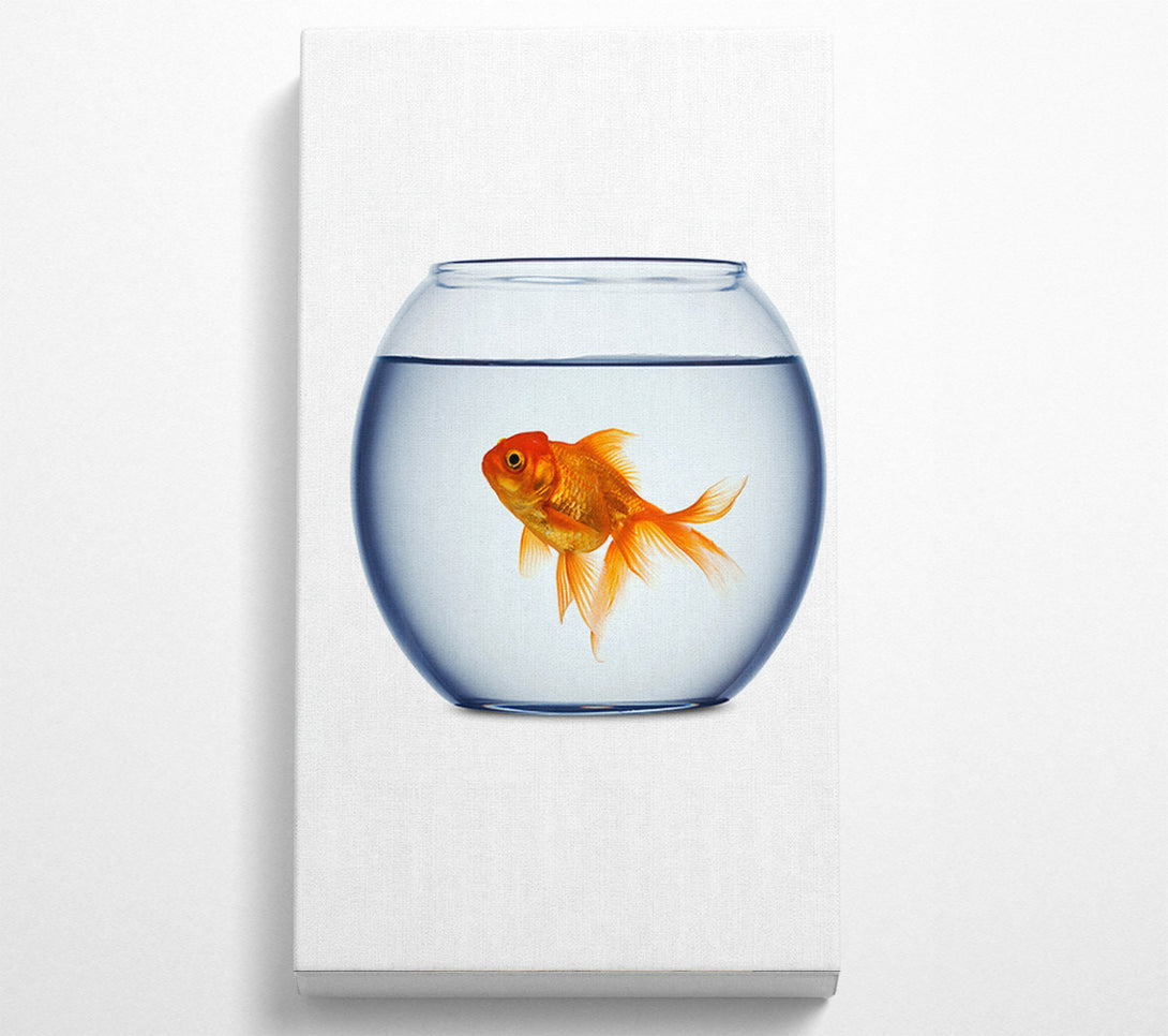  A Canvas Print of Goldfish Bowl Canvas Wall Art
