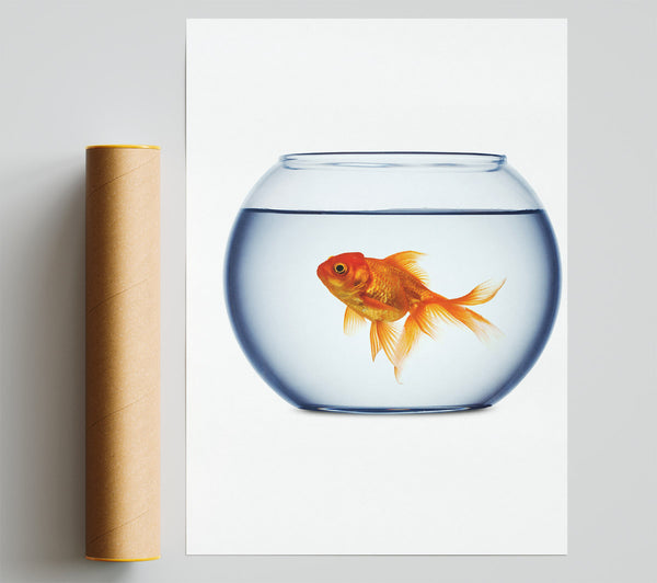 Goldfish Bowl Giclee Print