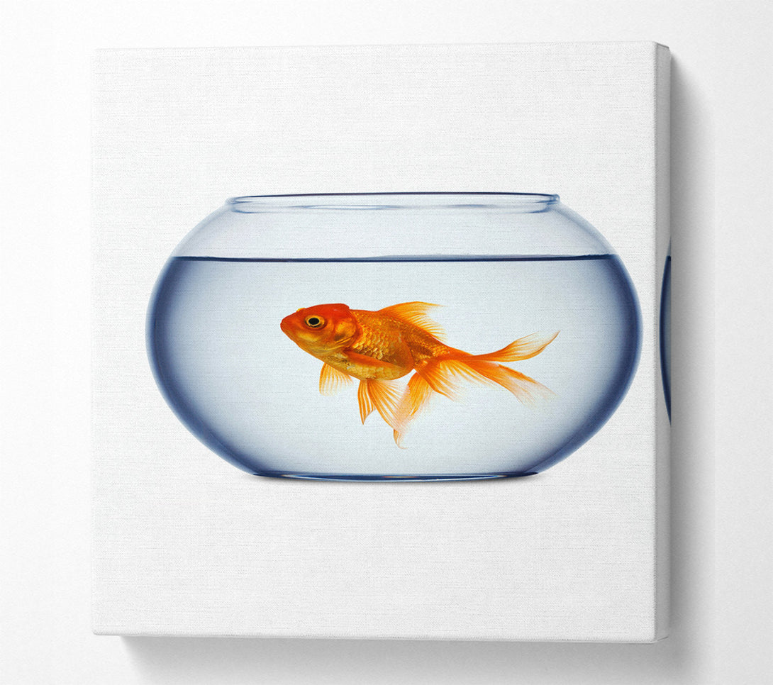  A Canvas Print of Goldfish Bowl Canvas Wall Art